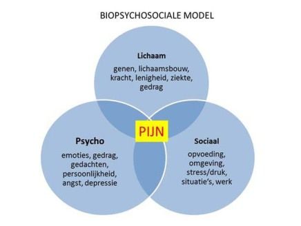 biopsychosociaal model